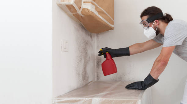 Professional Bathroom Mold Removal technician working in Evans, CO
