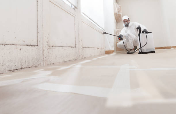 24/7 Emergency Bathroom Mold Removal experts in Evans, CO